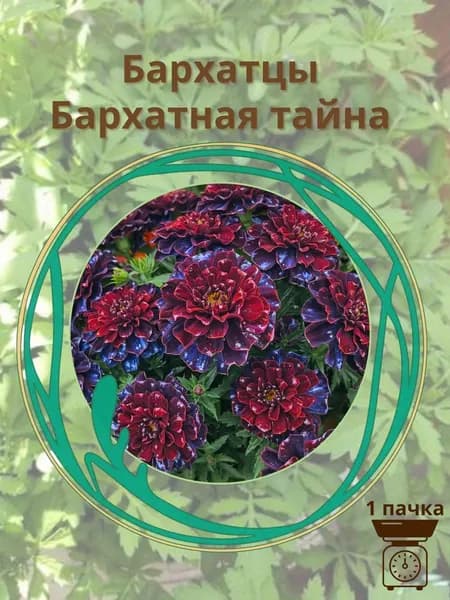 Бархатцы Бархатная тайна 10 шт. семян