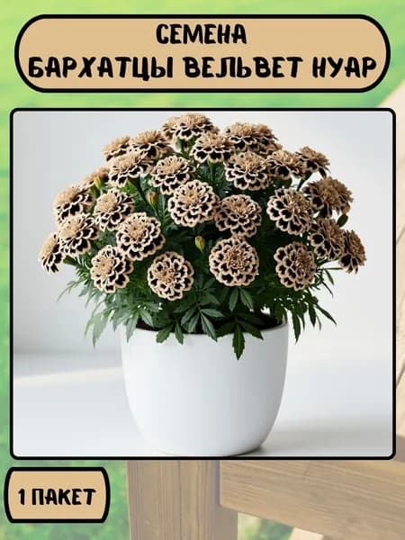 Бархатцы Вельвет Нуар, семена 10 шт
