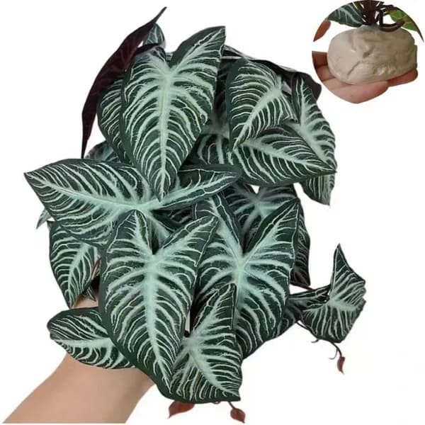 Искусственные водные растения