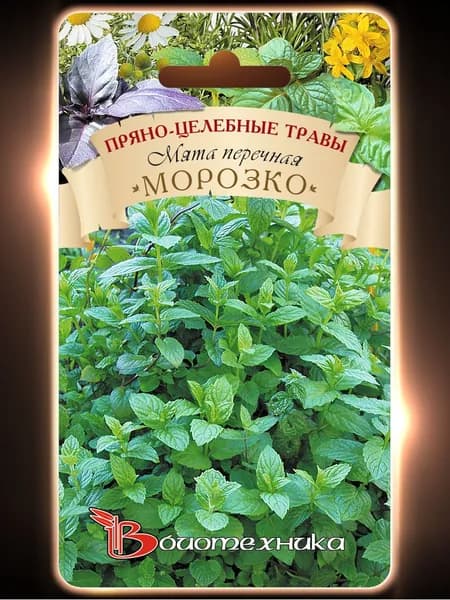 Мята перечная Морозко (БИОТЕХНИКА, 0,08 гр.)