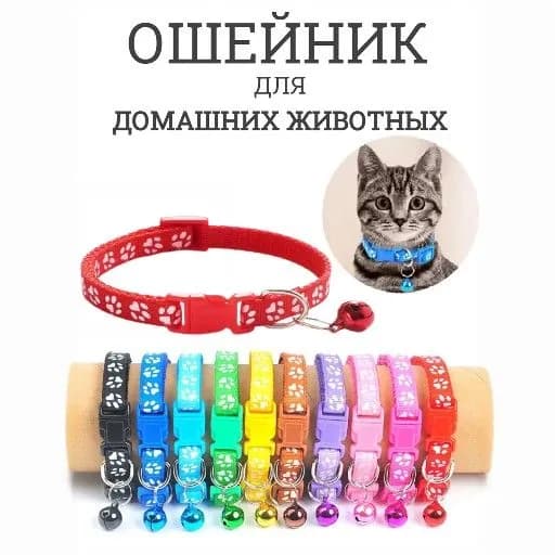Ошейник для собак, кошек, мелких пород