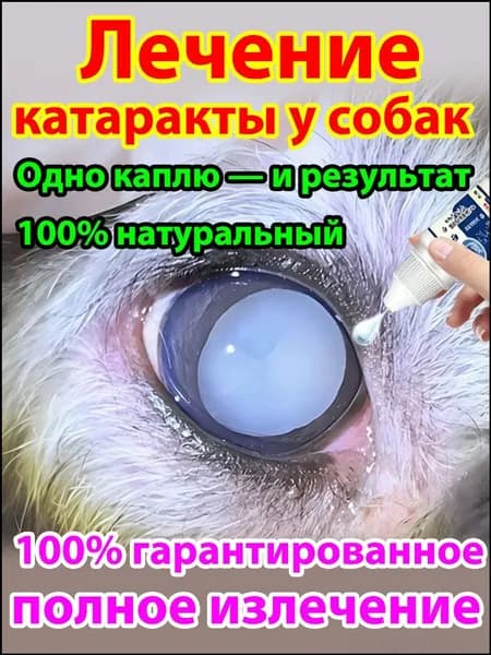 Глазные Японские капли от катаракты глаукомы и собаки кошки
