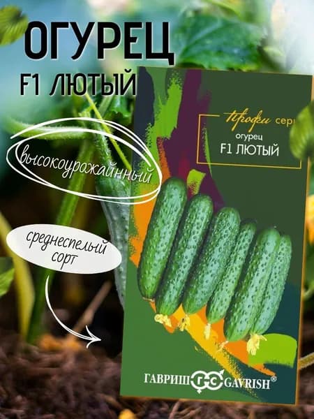 Семена огурцов Лютый F1