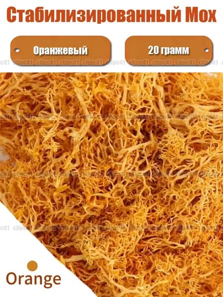 Стабилизированный мох Мох 20 г оранжевый