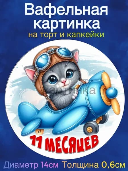 Вафельная картинка "Ребёнку 11 месяцев, Первые месяцы ребенку, Самолётик". Сладкая картинка, съедобная печать для декора торта, бенто-торта, украшения пряников и капкейков.