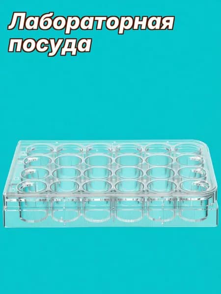 Культуральная пластина пластиковая с 24 лунками, стерильная, для лабораторного применения