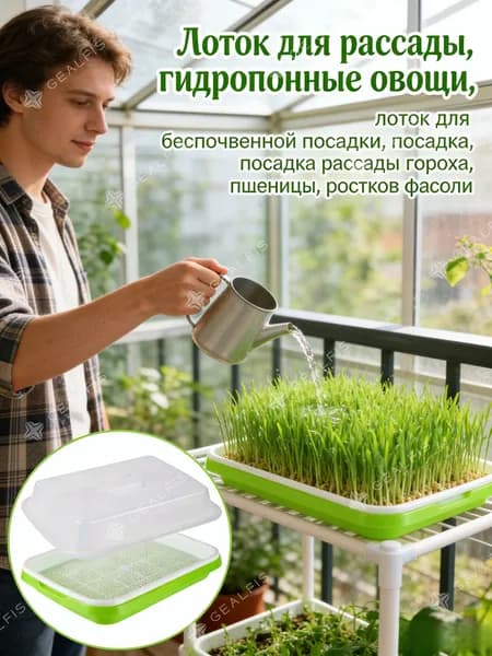 Проращиватель семян