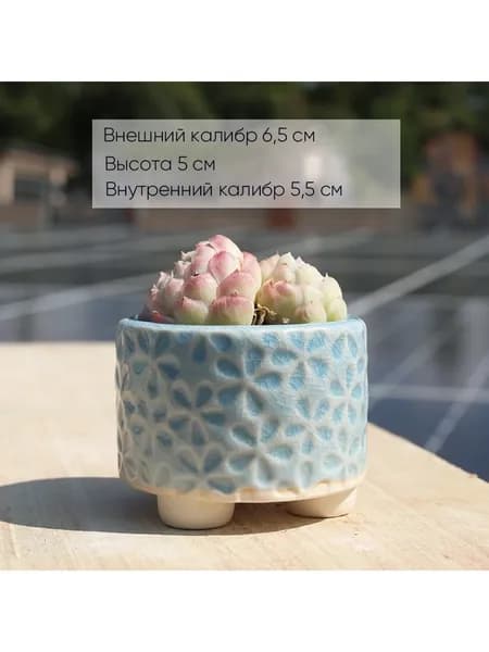 Горшок для цветов 0.05 л, 5 см, 1 шт, цвет голубой