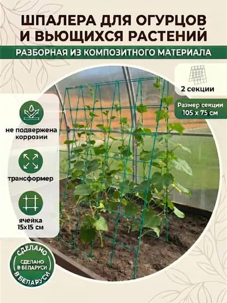 Шпалера для огурцов и вьющихся растений садовая
