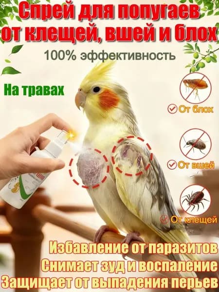 Спрей для декоративных птиц от пухопероедов, клещей и блох, 100 мл. Натуральное средство для попугаев, канареек. Без химии.