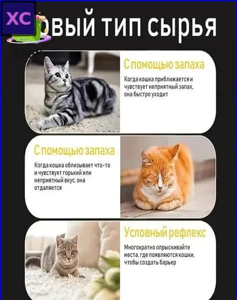 Спрей для коррекции поведения кошек и собак, 100 мл