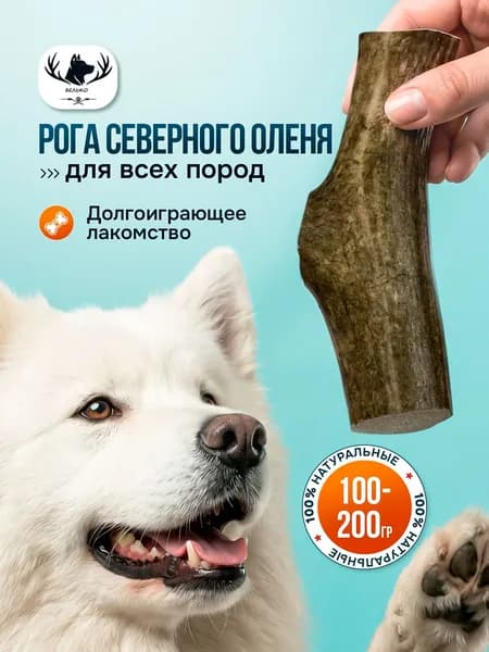 Рога оленя для собак для крупных и средних пород от 1 до 2 шт, 100-200 грамм, 14-20см