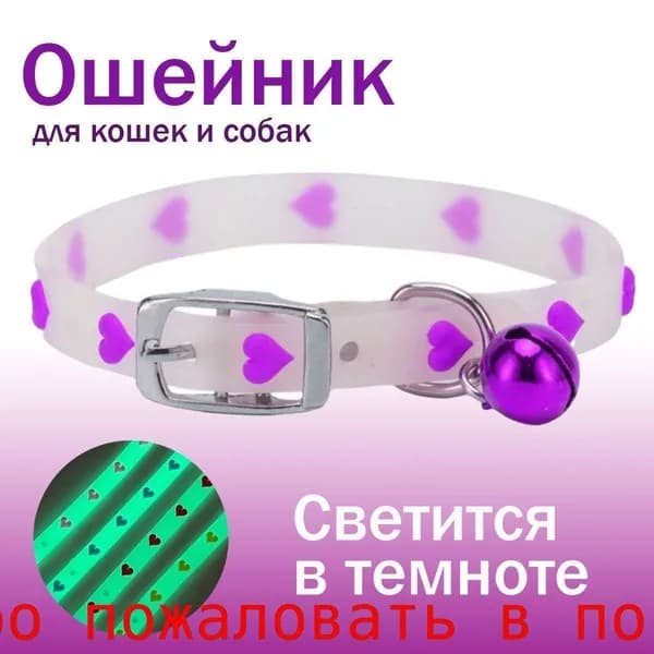 Ошейник