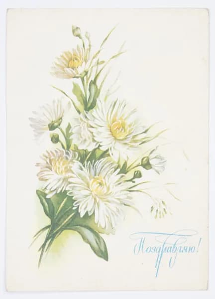 Открытка. "Поздравляю". Чистая. 1986 г. Художник В. Макаров.