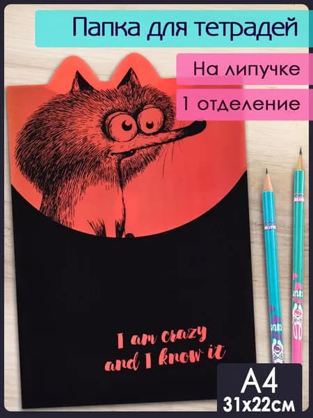 Папка для школьных тетрадей пластиковая "КРЭЙЗИ БЕЛКА" А4 1 отделение на липучке