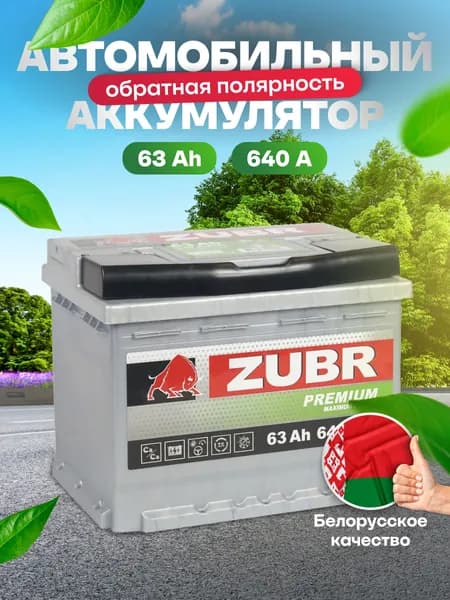 Аккумулятор автомобильный 12v 63 Ah ZUBR Premium 63 Ач 640 А обратная полярность 242x175x190 стартерный акб для автомобиля, машины