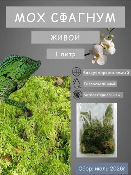 Мох сфагнум живой очищенный для растений, орхидей, террариумов 1л