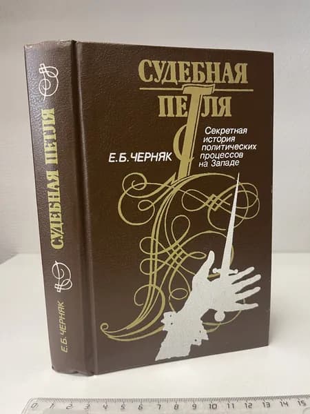 Судебная петля. Секретная история политических процессов на Западе. Черняк Ефим Борисович