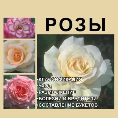Розы | Гусев Игорь Евгеньевич | Электронная книга