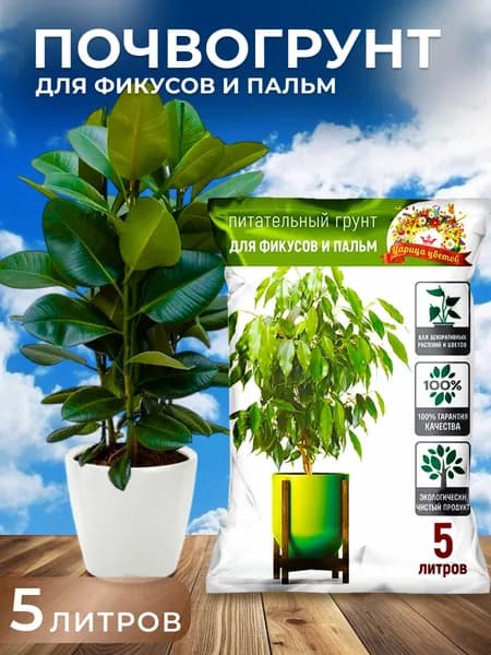 Почвогрунт земля для рассады ЦАРИЦА ЦВЕТОВ 5л д/фикусов и пальм