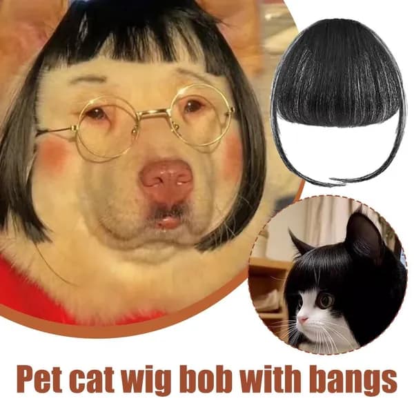 Парик Pet Fashion Bangs,Головной убор для питомца