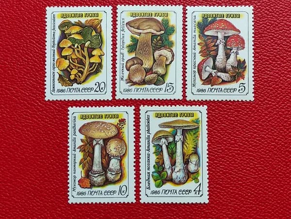 Марки СССР 1986. Чистая серия: "Ядовитые грибы''. MNH - См фото