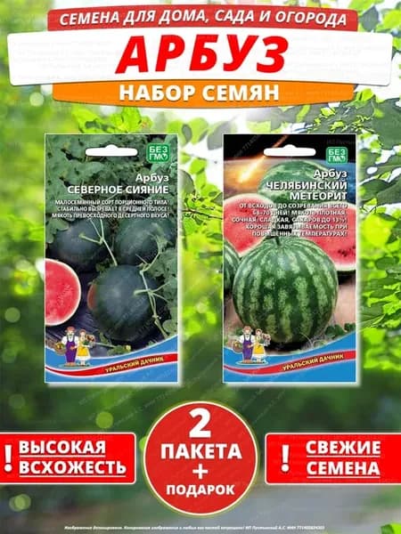 Семена арбуз для дома сада посадки