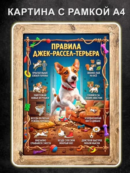 Картина Правила Джек-рассел-терьера, постер в рамке, А4