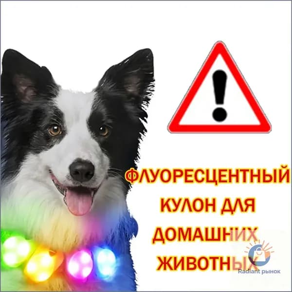 1шт ночная безопасная подвеска для домашних животных, светящаяся в темноте ночи с защитой от потери зоотоваров