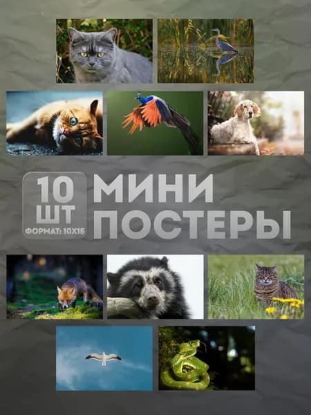 Мини постеры (набор) «Животные» 10 шт