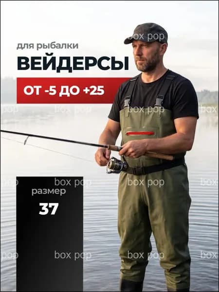 Вейдерсы