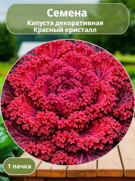 Капуста декоративная Красный кристалл F1, семена 10 шт