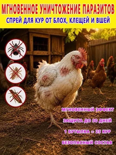 спрей для кур от пероедов и блох，100 мл