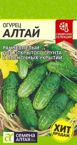 Семена огурец Алтай,1 цв.п 0,5г,Семена Алтая,раннеспелый,пчелоопыляемый,засолочный