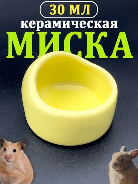 Миска керамическая 30 мл, для хомяков, крыс, грызунов