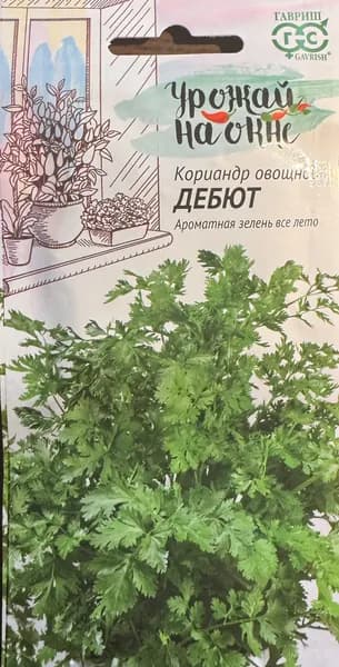 Кориандр овощной "Дебют", семена Урожай на окне, для домашнего проращивания и для круглогодичного выращивания на балконе и подоконнике