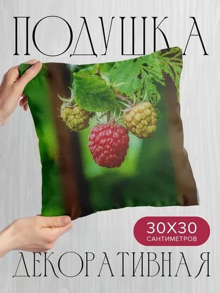 Подушка декоративная, 30x30см Макро малина ягода