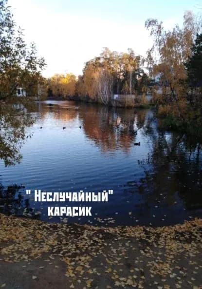 Неслучайный карасик | Басалыгин Александр Аркадьевич | Электронная книга