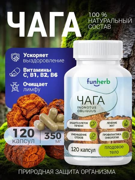 Чага натуральная березовая 120 капсул по 350 мг