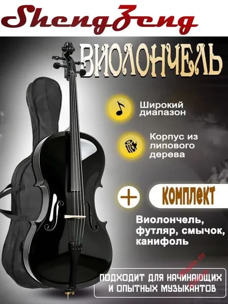 BK 4/4 - Виолончель, чехол и смычок в комплекте