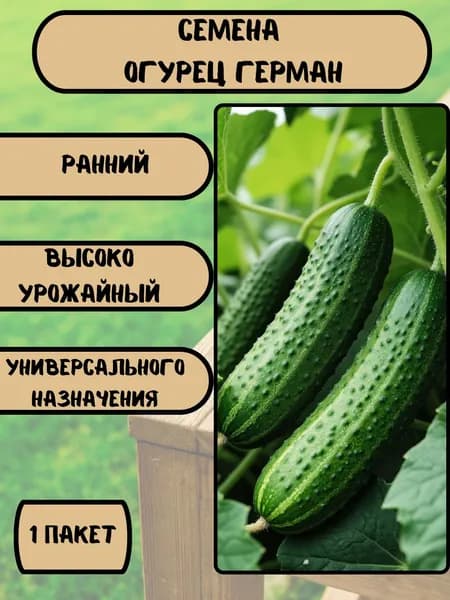 Коллекционные семена огурца Герман F1