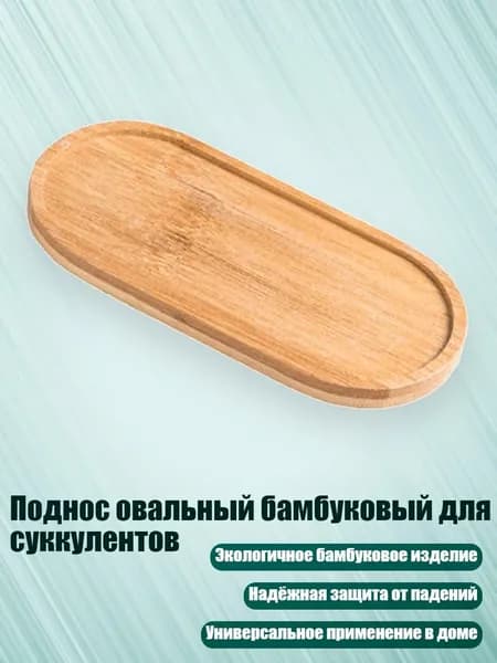 Поднос овальный бамбуковый для суккулентов, - 1