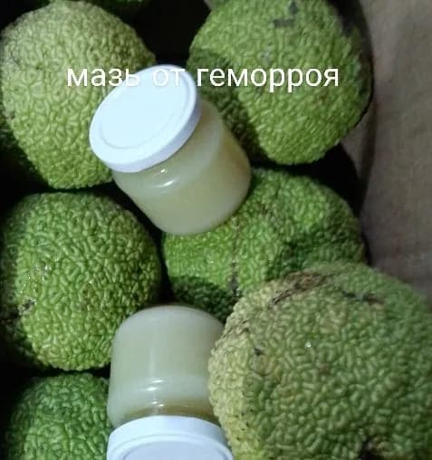 Маклюра мазь от геморроя