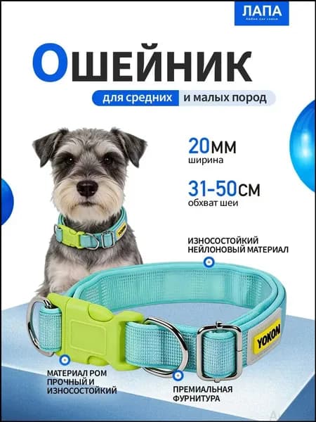 Усиленный нейлоновый ошейник для домашних животных, обхват шеи 31-50 см, подходит для собак мелких и средних пород весом 8-50 кг