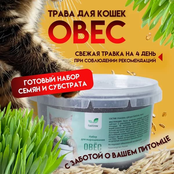 Трава для кошек (набор для выращивания) овёс