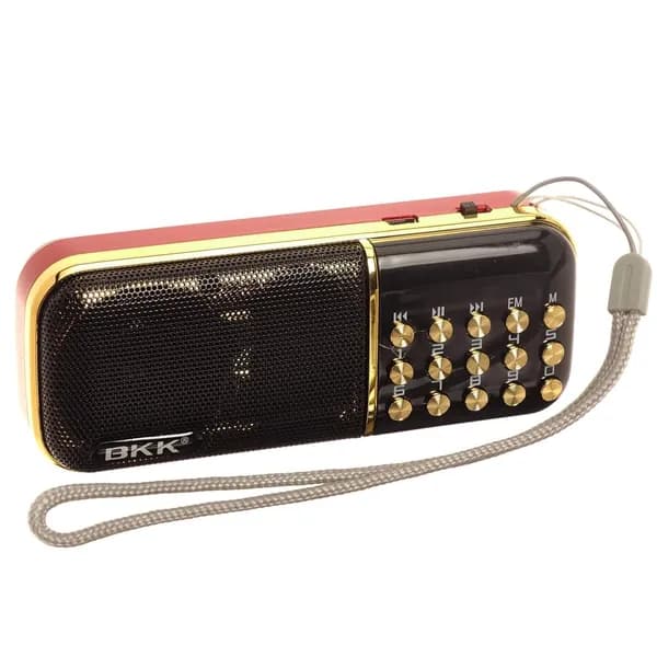Радиоприемник BKK-851 (2 microSD, mini-USB/TF/FM) / 2 качественных аккумулятора по 2200мА/ч