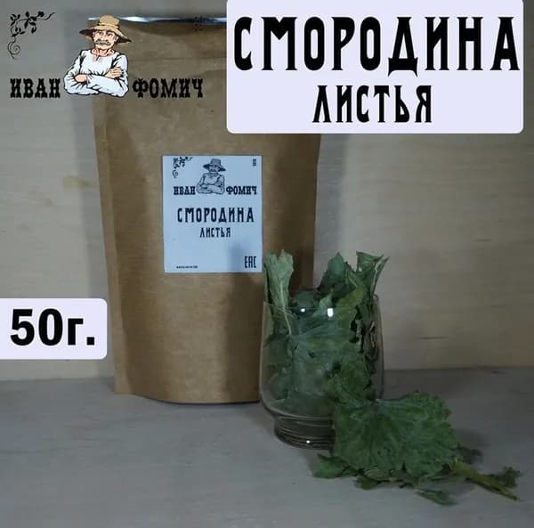 Смородина листья. Сбор 2026г.