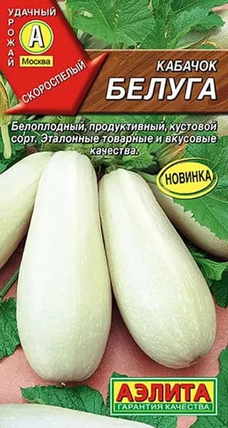Семена Кабачок белоплодный Белуга (1г) Аэлита. Скороспелый кабачок 35-45 дней с плодами 500-900 г