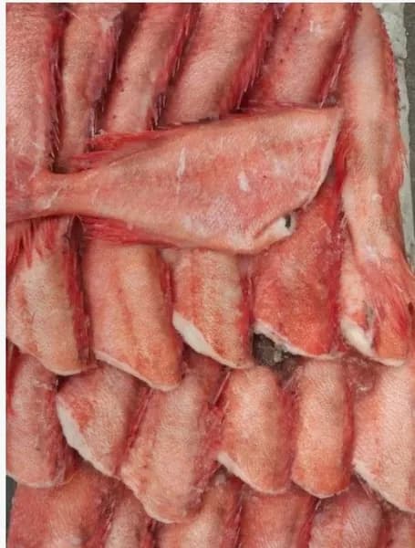 Окунь морской 6,0 кг ПБГ 150-300 гр. японский срез