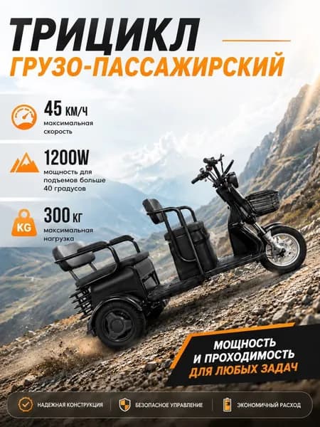 Грузовой трицикл 1200 ВТ с багажником